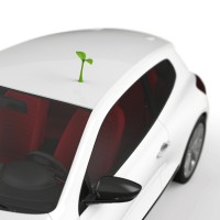 3D наклейка на авто Саджанець