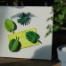 Покупка  Магніти на холодильник Тропічні листя в  Интернет-магазин "Зелена Ворона"