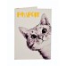 Покупка  Обкладинка на паспорт Цікавий котик в  Интернет-магазин "Зелена Ворона"